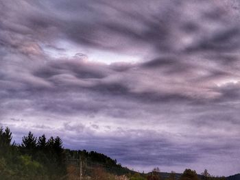 Low angle view of storm clouds over trees