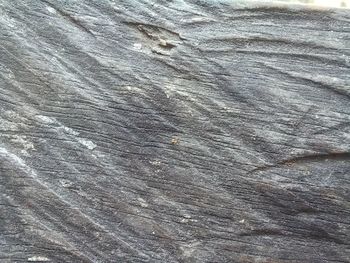 backgrounds