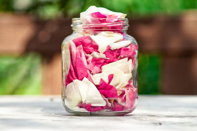 Close-up of pink rose