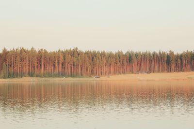 Scenic view of lake by trees against clear sky