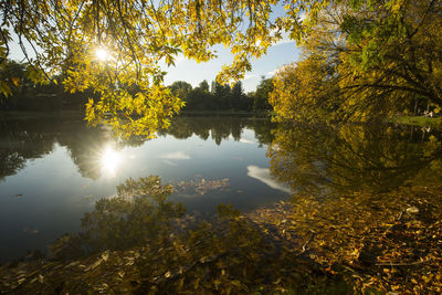 Trees by lake against sky during autumn