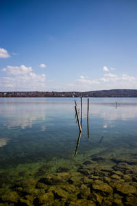 Lake view munich