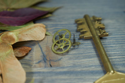 High angle view of keys with gears and dried leaves on wooden table