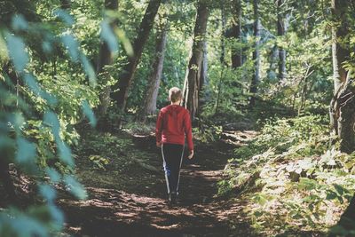 Full length rear view of boy walking on footpath in forest