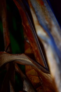 Full frame shot of wood