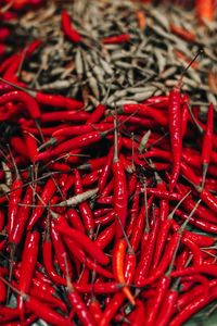 Close-up of red chili peppers