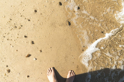 Woman feet on wet sand and seawater. feet on beach in sunlight. sand and water wave, on sylt island.