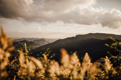 Panoramic shot of mountain range against sky