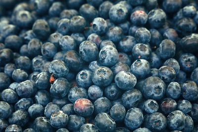 Full frame shot of blueberries