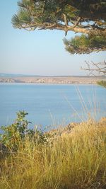 Scenic view of sea against clear sky