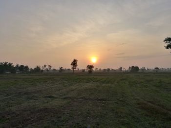 Scenic view of field against sky during sunset