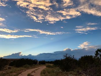 Road amidst trees against sky