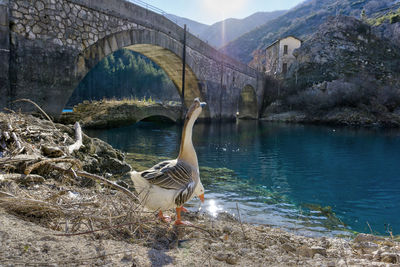 View of bridge over river against mountain