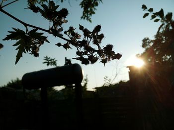 Low angle view of silhouette trees against sky