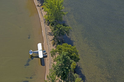 High angle view of road amidst trees