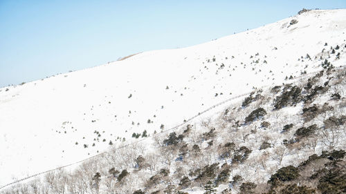 Low angle view of mountain