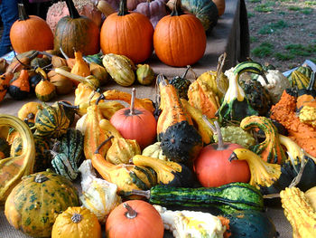 High angle view of pumpkins in market