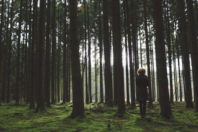 Man in forest