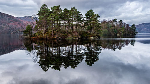 Reflections of scots pine trees in the still water of loch katrine in the trossachs national park