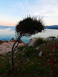 Scenic view of sea against sky at sunset