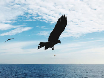 Seagulls flying over sea against sky