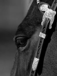 Close-up portrait of man wearing mask