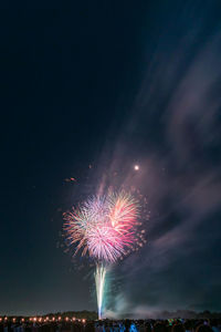 Low angle view of firework display at night