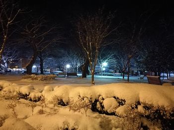 Bare trees on snow covered field against sky at night