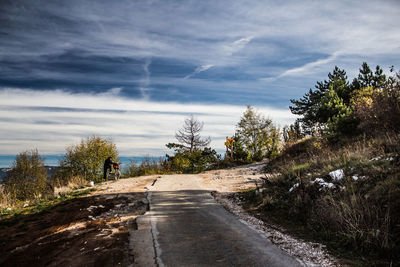 Road amidst trees against sky