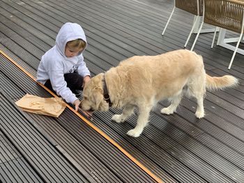 Little boy feeding big dog