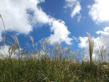 Scenic view of field against cloudy sky