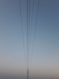 Close-up of bird flying against clear sky