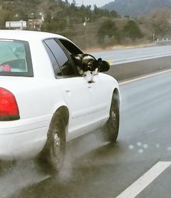 Reflection of car on side-view mirror