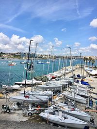 Sailboats moored at harbor