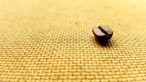 Close-up of coffee bean