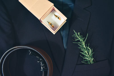 High angle view of man standing on potted plant