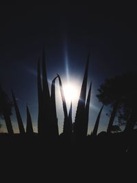 Low angle view of sky at sunset