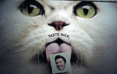 Close-up portrait of smiling young man