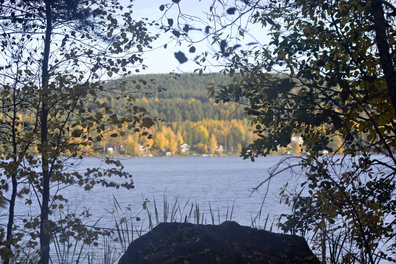 SCENIC VIEW OF LAKE BY TREES IN FOREST AGAINST SKY