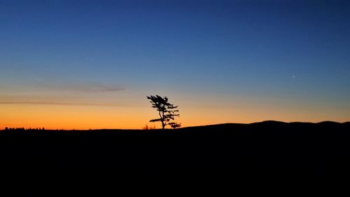 Silhouette tree against sky during sunset