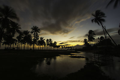 Silhouette palm trees by swimming pool against sky at sunset