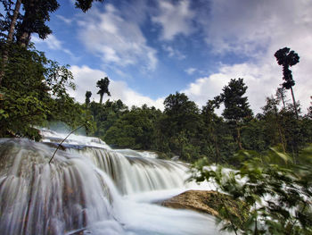 Waterfall in forest