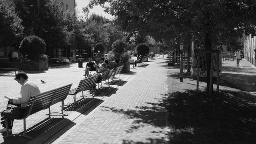 People walking on road along trees