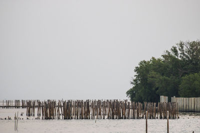 Wooden posts on beach against clear sky