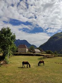 A summer day in theth