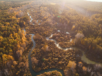 High angle view of trees on landscape