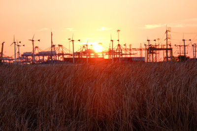 Scenic view of field against sky during sunset