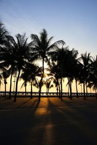 Silhouette palm trees against clear sky