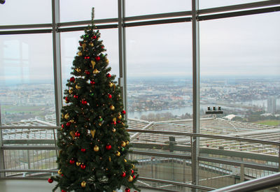 Christmas tree in city seen through glass window
