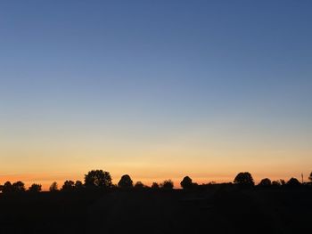 Silhouette trees against clear sky during sunset